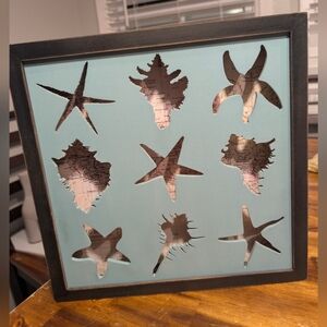 Nathan Murrell Seashell Framed Shadow